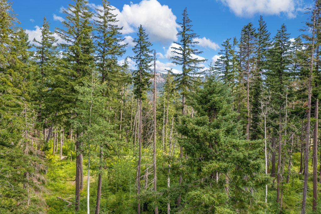 17 Filbert Road, Cle Elum, WA 98922, Presented by Ginger York, Ginger