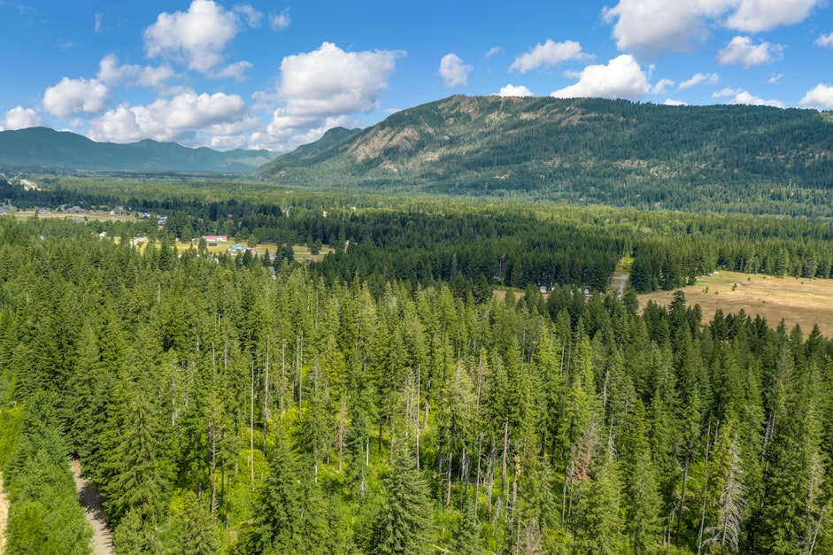 17 Filbert Road, Cle Elum, WA 98922, Presented by Ginger York, Ginger